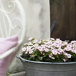 Bed & Breakfast Contrada Lunga 3*