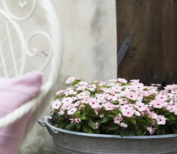 Bed and Breakfast Contrada Lunga 3*